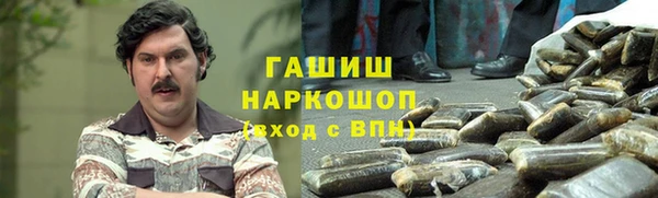 стаф Каменка