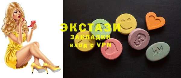 стаф Каменка
