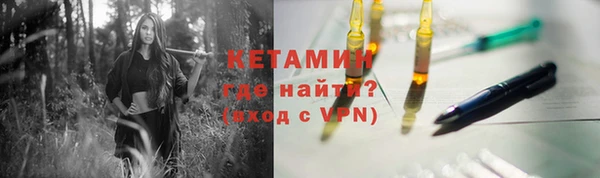 стаф Каменка
