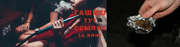 стаф Каменка