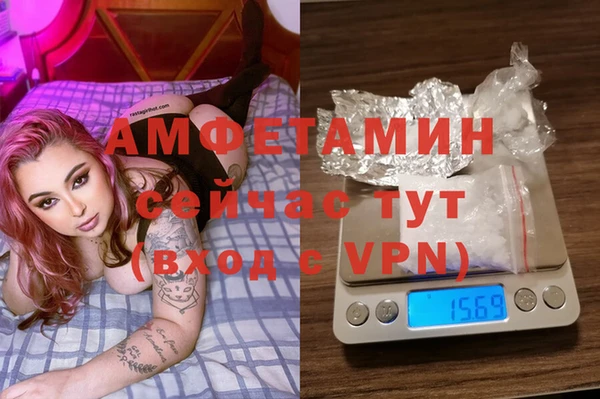 стаф Каменка