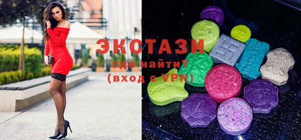 стаф Каменка
