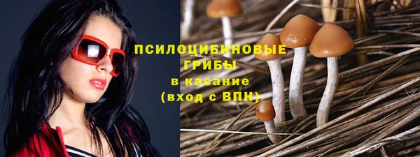 стаф Каменка