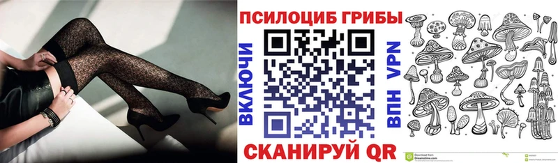 Купить  Лосино-Петровский  Галлюциногенные грибы Psilocybine cubensis 